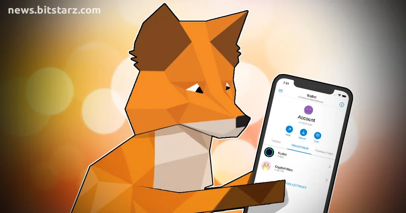 Metamask: What it is, KYC, and Reddit Chatter