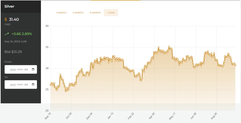 Silver Spot Price Rally: What's Driving It and Can It Last?